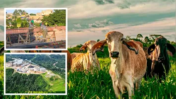 O setor de agronegócio também tem uma força incrível em Marabá colocando o município como segundo do Pará