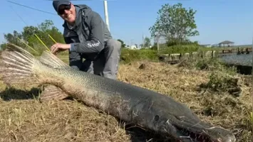Pescador exibe o peixe raro