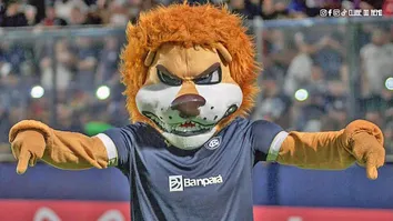 Leão Azul quer dias melhores no futebol