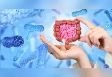 Imagem ilustrativa da notícia Microbiota intestinal: protege a saúde do seu sistema imunológico 