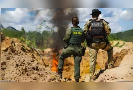 A segunda semana da Operação de Desintrusão da Terra Indígena Kayapó, o Governo Federal intensificou a repressão ao garimpo ilegal