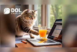 Derrubar objetos é uma atitude natural e ligada a diversos fatores do comportamento felino.