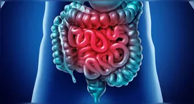 Imagem ilustrativa da notícia Saiba quando o desconforto intestinal é sinal de alerta
