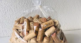 Reciclagem criativa transforma resíduos em itens úteis, decorativos e sustentáveis