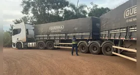 Sefa apreende 147 toneladas de soja e 75 cabeças de gado com irregularidades fiscais no Pará