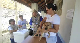 A campanha de vacinação antirrábica 2025, em Mosqueiro, foi realizada em oito postos fixos e contou com postos móveis para percorreram os bairros do Sucurijuquara, Aeroporto, Maracajá e Baía do Sol.