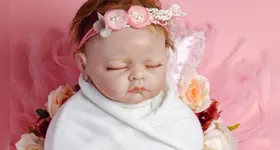 Bebês reborn entram em polêmica