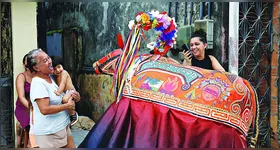 O boi é acompanhado por uma comitiva de foliões que levam alegria aos moradores nos domingos do mês de junho