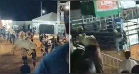 Touro escapa e invade arquibancada em Goiás