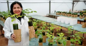"Acredito que minha principal contribuição para mitigar a fome no mundo tenha sido minha persistência de que a produção de alimentos é essencial, mas deve ser feita com sustentabilidade", afirma Mariangela Hungria