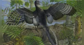 Imagem de dinossauro voador