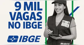 O IBGE ofertará, ao todo, 9.580 oportunidades neste processo seletivo