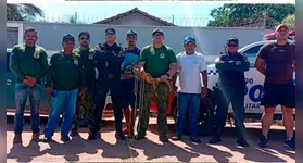 A equipe policial chegou ao local e conseguiu impedir que o jacaré fosse ferido ou morto
