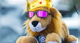 Leão só de boa ao voltar para o trono