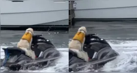 O animal ficou posicionado à frente do jet ski enquanto o veículo era puxado por um homem usando uma mochila com propulsão a jato d’água.