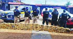 A droga estava escondida em um fundo falso na cabine de descanso de um caminhão boiadeiro abordado no ramal do Canoé, próximo ao quilômetro 562 da BR-230.