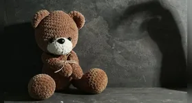 Em seu relato, a menor revelou sofrer abusos sexuais desde os seis anos, e apontou o seu irmão, um adolescente de 15 anos, como autor da violência.
