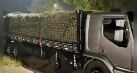 O suspeito dirigia um caminhão carregado com aproximadamente 496 kg de substâncias análogas à pasta-base de cocaína e cloridrato de cocaína