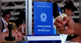 Imagem ilustrativa da notícia Site tem mais de 400 vagas de emprego abertas em Belém