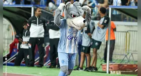 Paysandu tem se destacado fora de campo, mas falta se ajustar nas quatro linhas