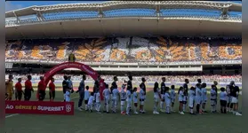 Torcida do Remo no Mangueirão