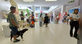 Ao todo, cerca de 35 animais, entre cães e gatos, estavam disponíveis para adoção, com castração garantida.