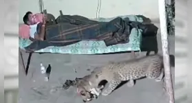 O caso acende um alerta para pessoas que moram em áreas onde animais selvagens podem estar presentes, especialmente em regiões próximas à natureza.