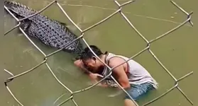 Turista achoou que o crocodilo era uma estátua.