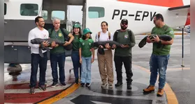 A operação contou com o apoio de diversos órgãos, entre eles o ICMBio, Instituto Igarapé-Nhamundá, Instituto Bicho D’água, Grupamento Aéreo de Segurança Pública (GRAESP), CETRAS/UFRA e Ibama.