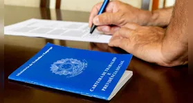 O setor de serviços foi o grande destaque do período, com a criação de 5.991 postos de trabalho, seguido pelo comércio (2.750) e pela indústria (1.687).