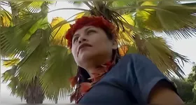 Imagem ilustrativa da notícia Raízes indígenas e o uso sagrado da floresta