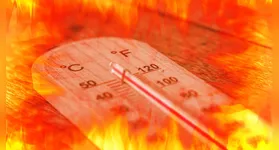 A elaboração das previsões contou com 220 membros de um conjunto de modelos climáticos, reunindo dados de 15 institutos e centros globais.