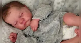 Bebês reborn já chamam atenção até mesmo nos parlamentos de todo o país