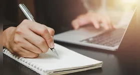 Ao todo, são 356 vagas disponíveis, com salários que variam conforme a função e o nível de escolaridade exigido.
