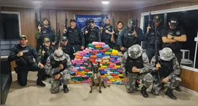 As operações foram realizadas em parceria com policiais civis e militares.