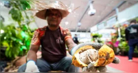 A Feira do Cacau e Chocolate da Amazônia e Flor Pará torna-se também vitrine estratégica de práticas e modelos econômicos inovadores da região amazônica.