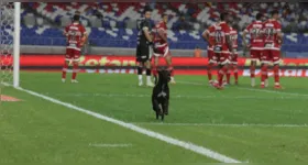 Doguinho invadiu o gramado do Mangueirão durante jogo do Paysandu.