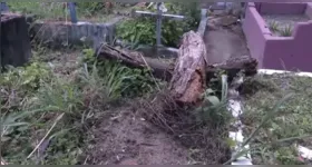 Mato alto e tronco em decomposição evidenciam o abandono Cemitério São Sebastião, no centro de Ananindeua.