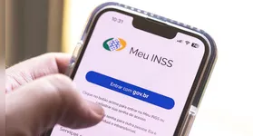 O aplicativo Meu INSS é um dos meios oficiais de comunicação do governo com os aposentados