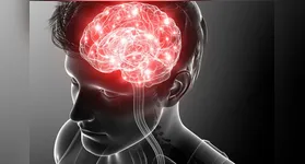 A Sociedade Brasileira de Neurocirurgia realiza neste mês a conscientização das pessoas, pois este é um tipo de câncer subestimado no Brasil