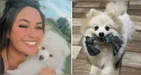 Mulher acusa ex-marido de assassinar cão a facadas e pede justiça pelo crime.