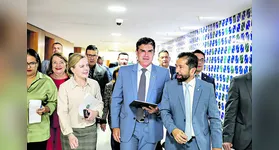 Recentemente, o governador Helder Barbalho e lideranças do Estado conversaram com a ministra Gleisi Hoffmann em Brasília sobre o assunto