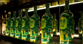 Gin de Castanha-do-Pará conquista medalha de ouro em concurso nacional de destilados.