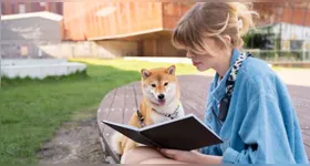 Tutores precisam cuidar dos limites de animais para equilíbrio da saúde mental.