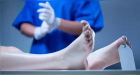 A técnica  mantêm viva a ideia da preservação do corpo, refletindo avanços significativos que vão além das práticas egípcias antigas.