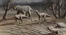 A espécie pertence ao grupo dos silessaurídeos, parentes próximos dos dinossauros.