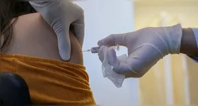 Dados da última edição do boletim Infogripe, da Fiocruz mostram que o influenza A, causador da doença é responsável por 72,5% das mortes por síndrome respiratória aguda grave (SRAG).