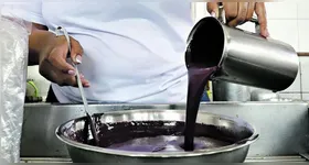 Dor no bolso: açaí bate os R$ 50 para o consumidor, mas a expectativa é redução de preço com o fim da temporada de chuvas