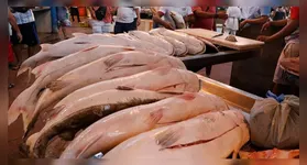 Pesquisa do Dieese revela aumento e queda nos preços do pescado em Belém entre março e abril.