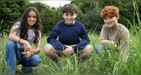 Harry, Ron e Hermione estão de volta, agora nas telinhas.